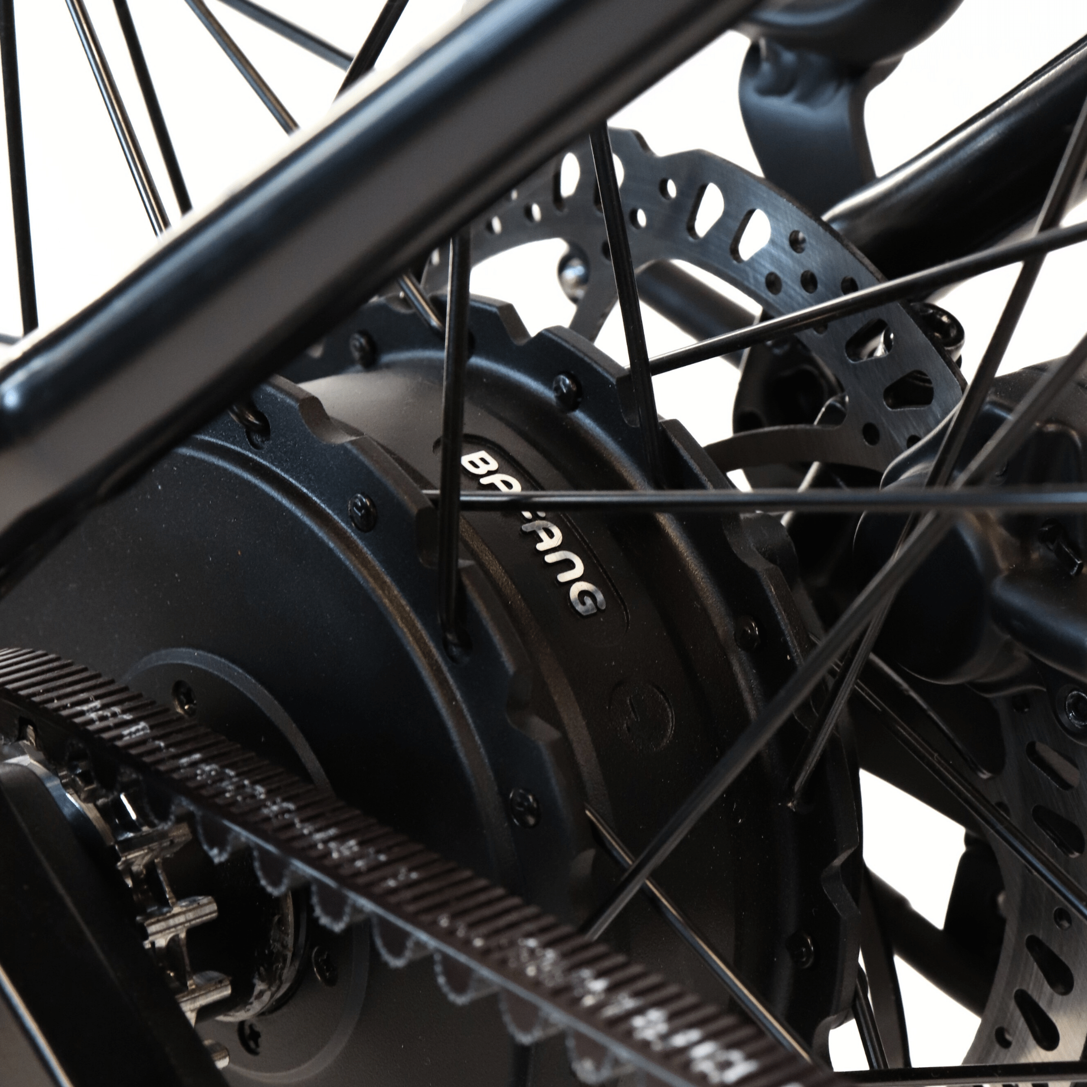 EBIKE CAN E-Bike Lancet 2.0