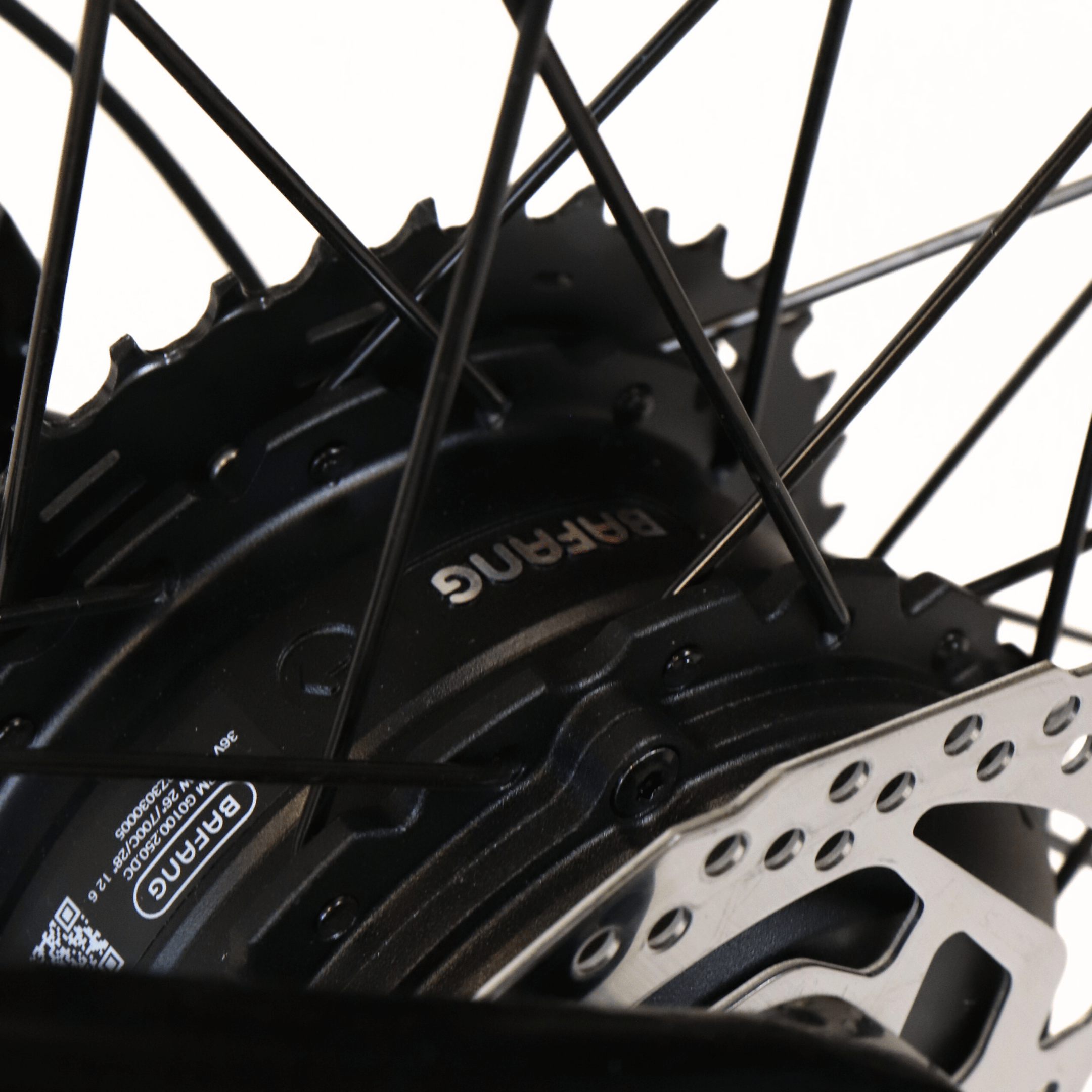 EBIKECAN E-Bike Midnight Violet Aurora GRX