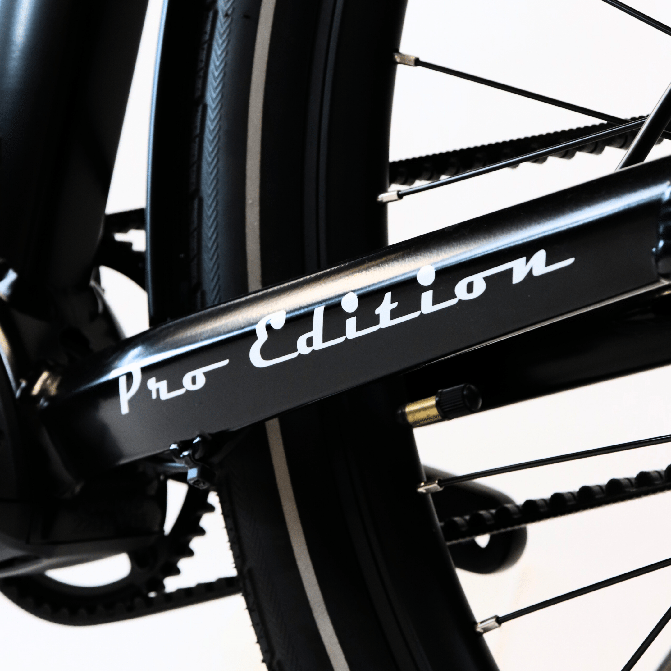 EBIKECAN E-Bike Midnight Violet Lancet Pro MD