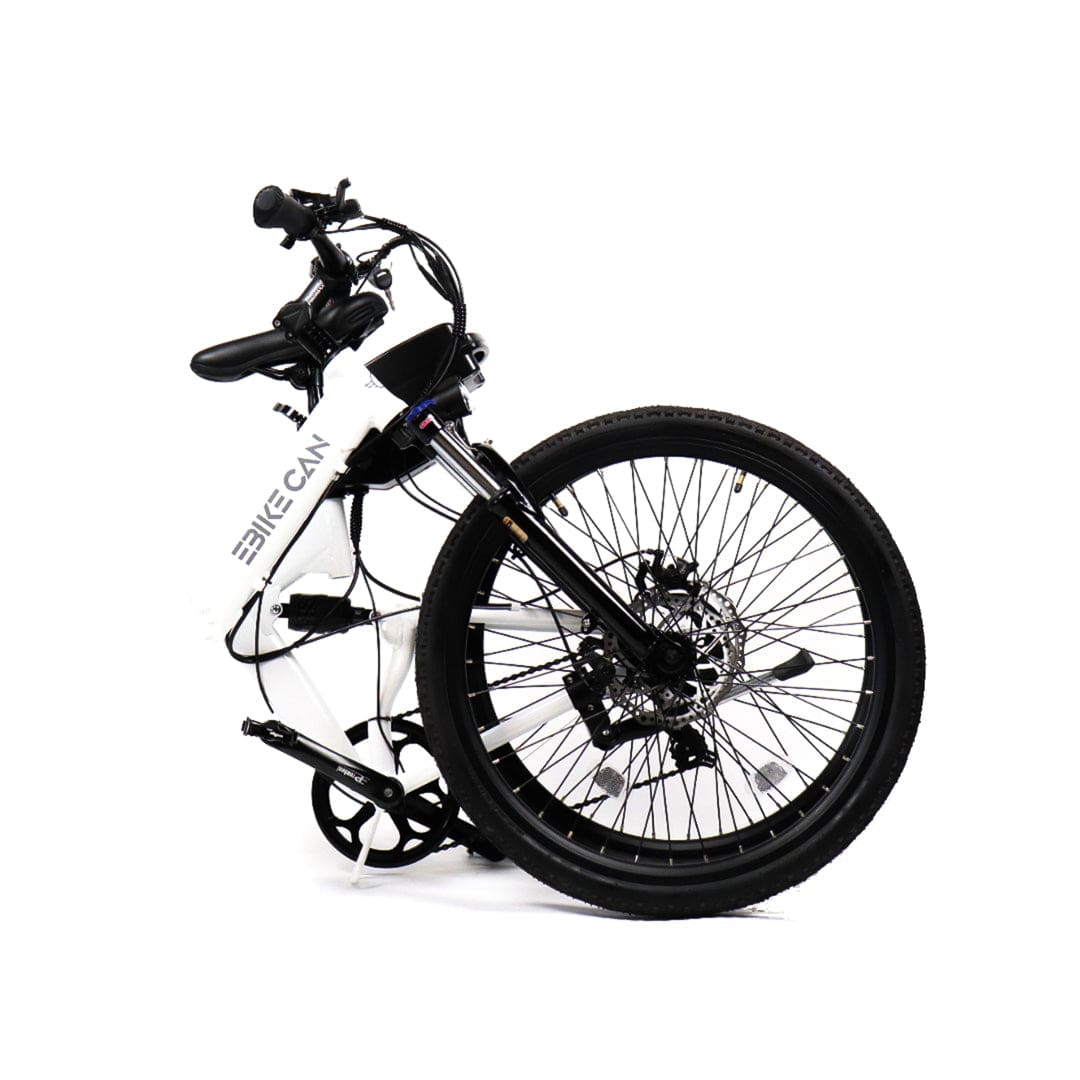 EBIKE CAN E-Bike Puma
