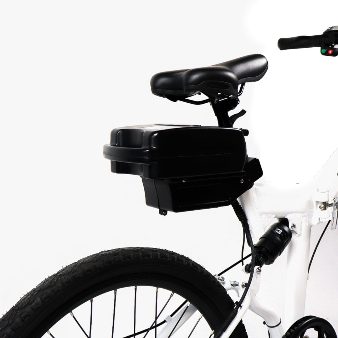 EBIKE CAN E-Bike Puma