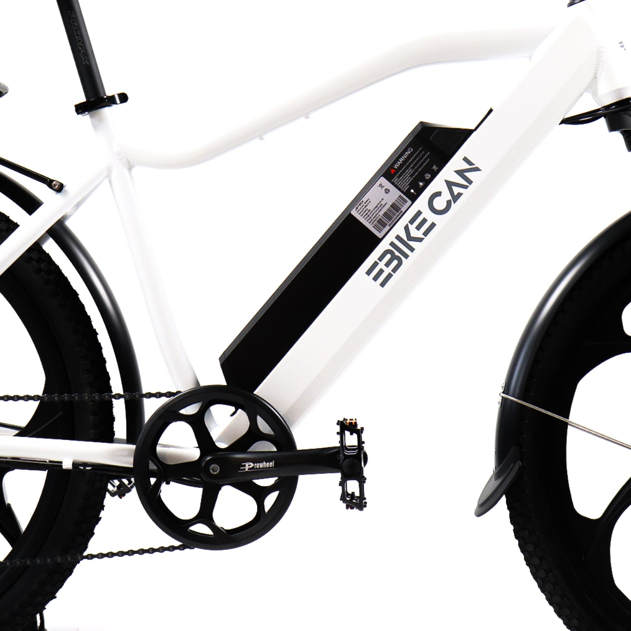 EBIKE CAN E-Bike Road Runner GT