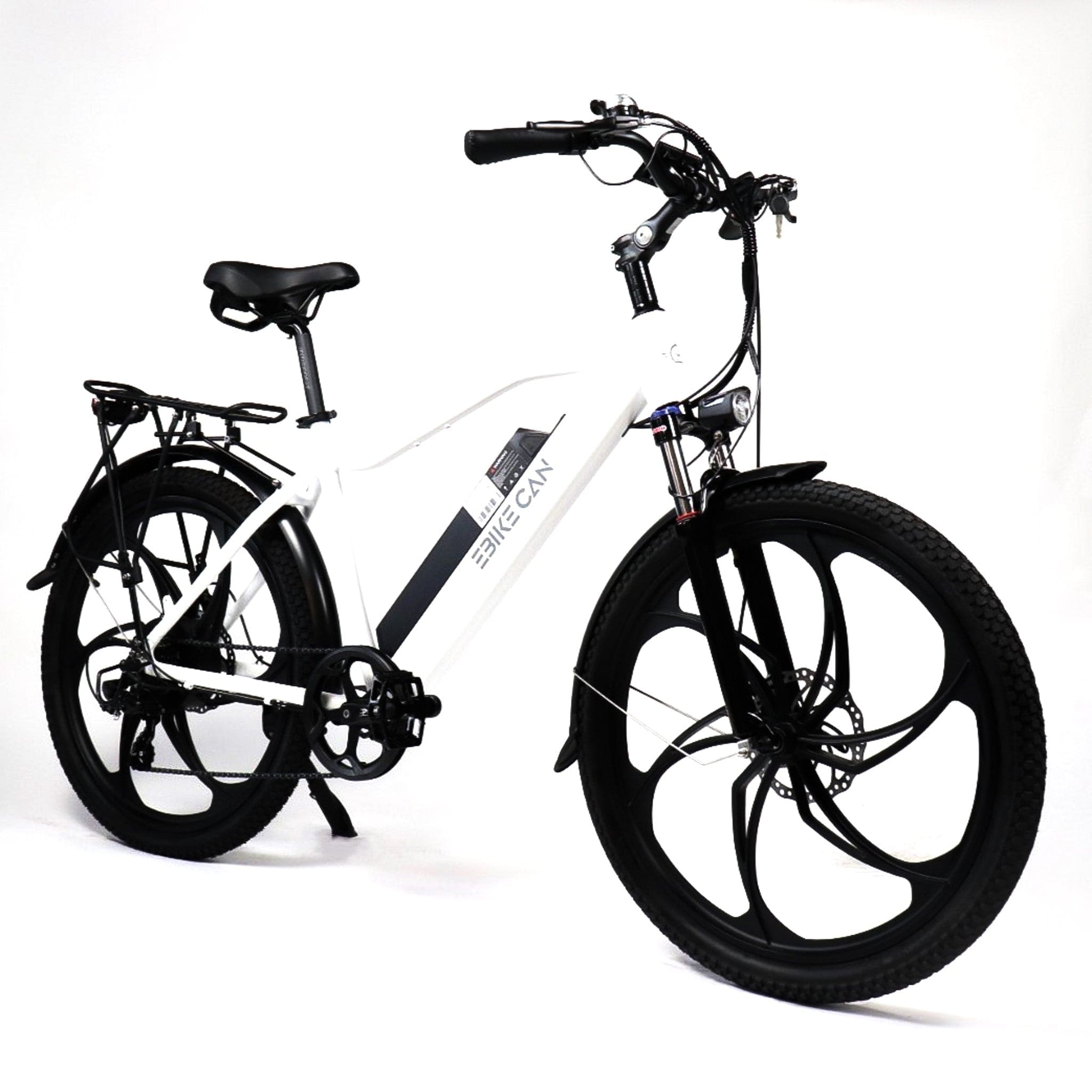 EBIKE CAN E-Bike Road Runner GT