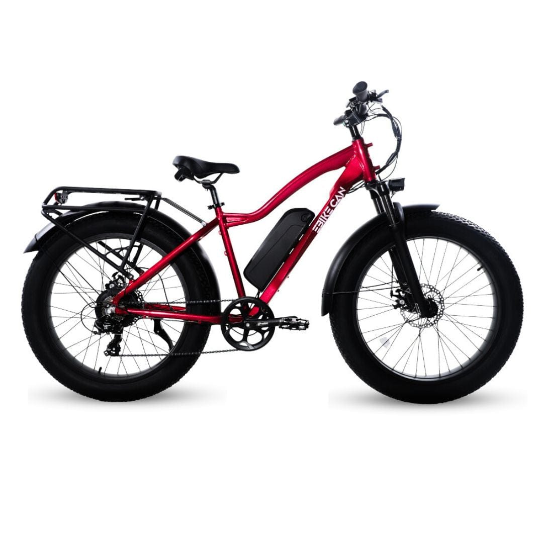 EBIKE CAN E-Bike Sasquatch 2.0