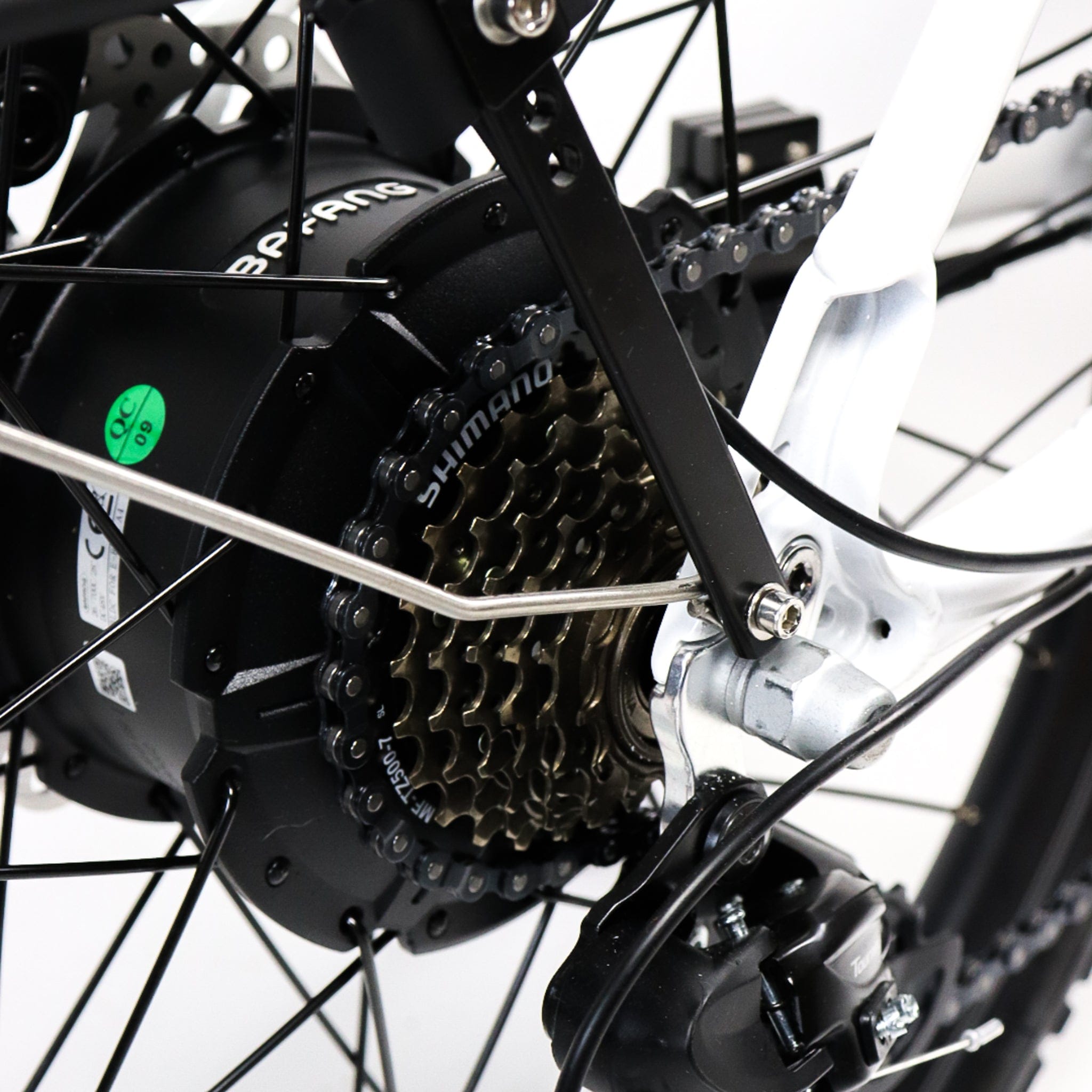 EBIKE CAN E-Bike Sasquatch 2.0