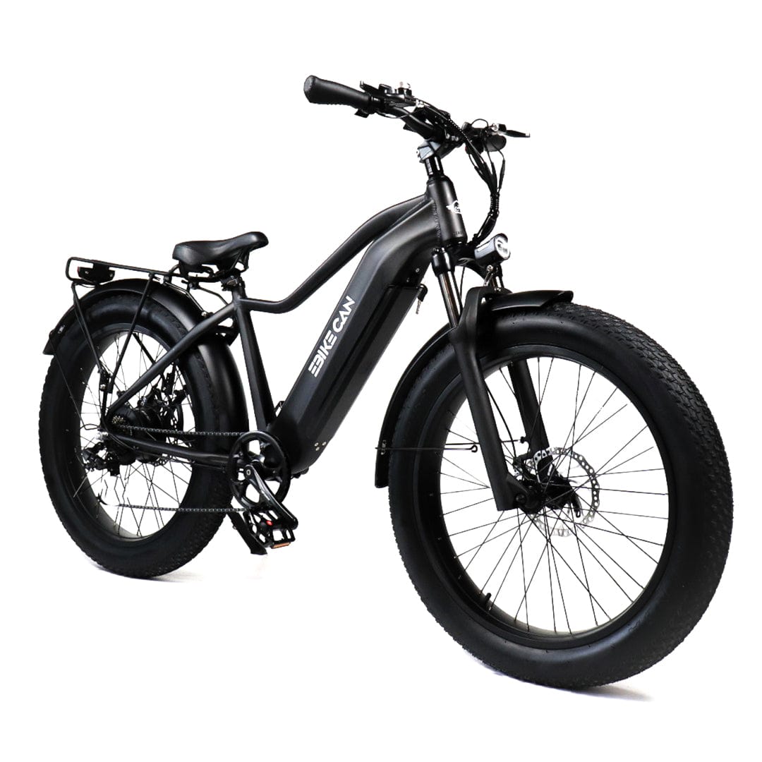 EBIKE CAN E-Bike Typhoon S