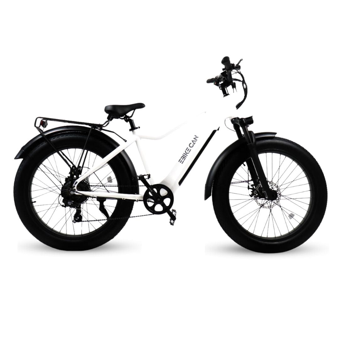EBIKE CAN E-Bike White Typhoon S