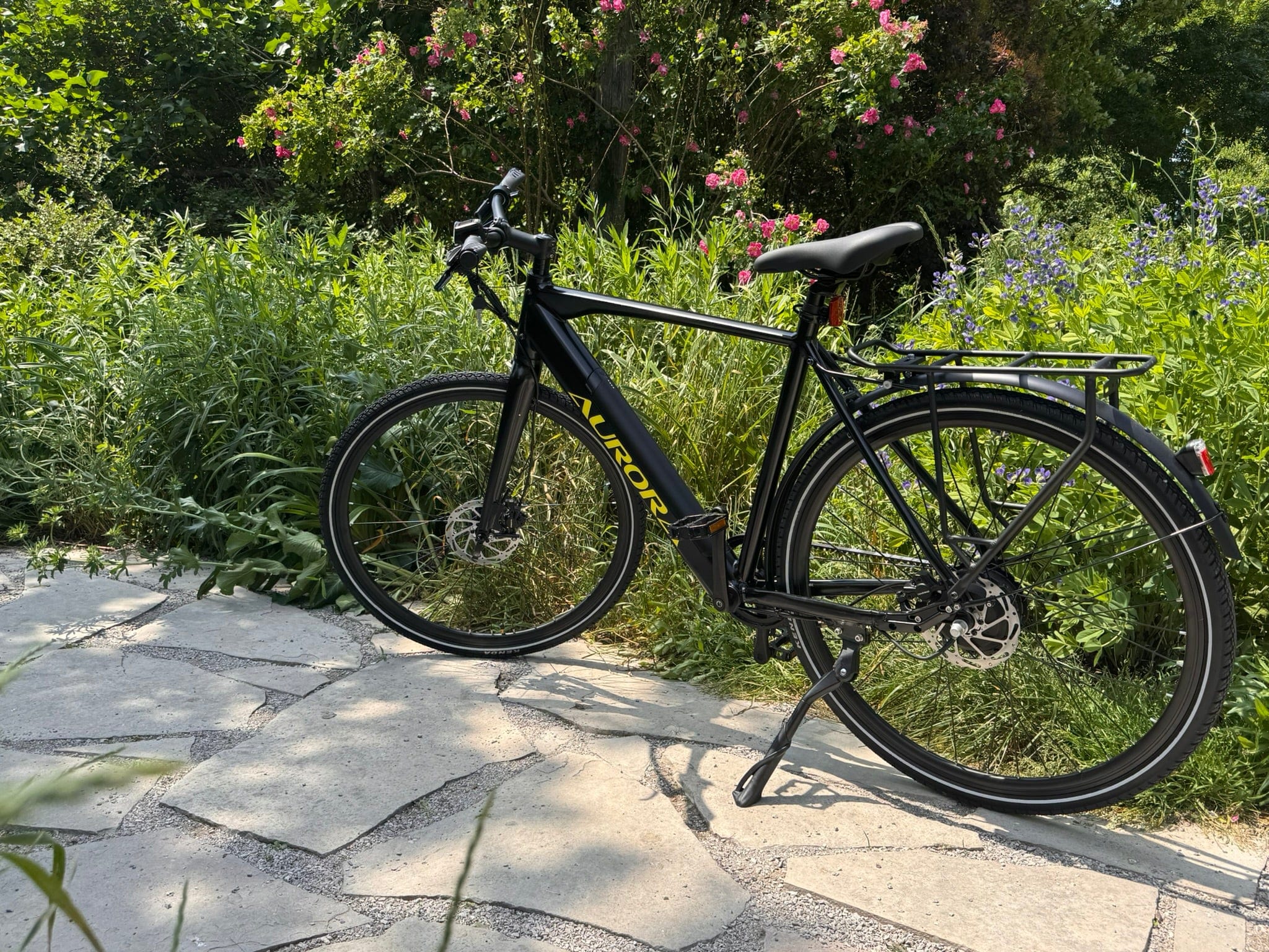EBIKECAN Aurora Belt Drive Ebike 