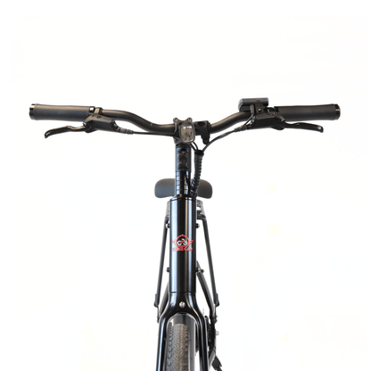 EBIKE CAN E-Bike Lancet 2.0