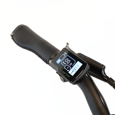 EBIKE CAN E-Bike Lancet 2.0