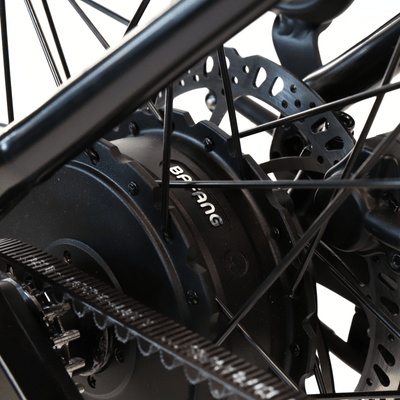 EBIKE CAN E-Bike Lancet 2.0