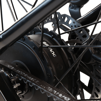 EBIKE CAN E-Bike Lancet 2.0
