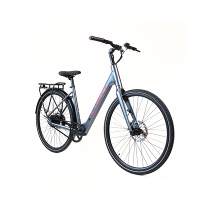 EBIKE CAN E-Bike Lancet 2.0