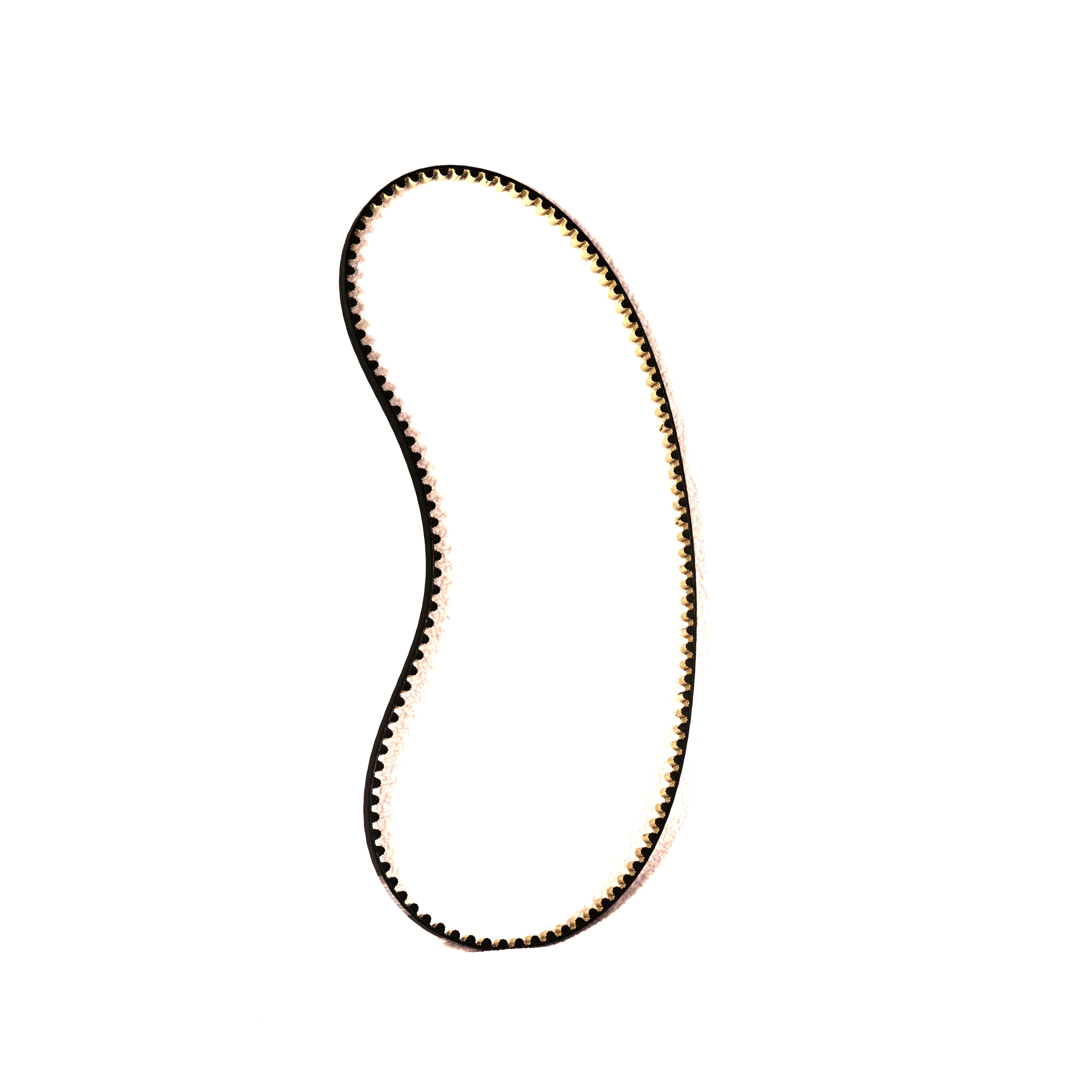 EBIKECAN Dayco Drive Belt