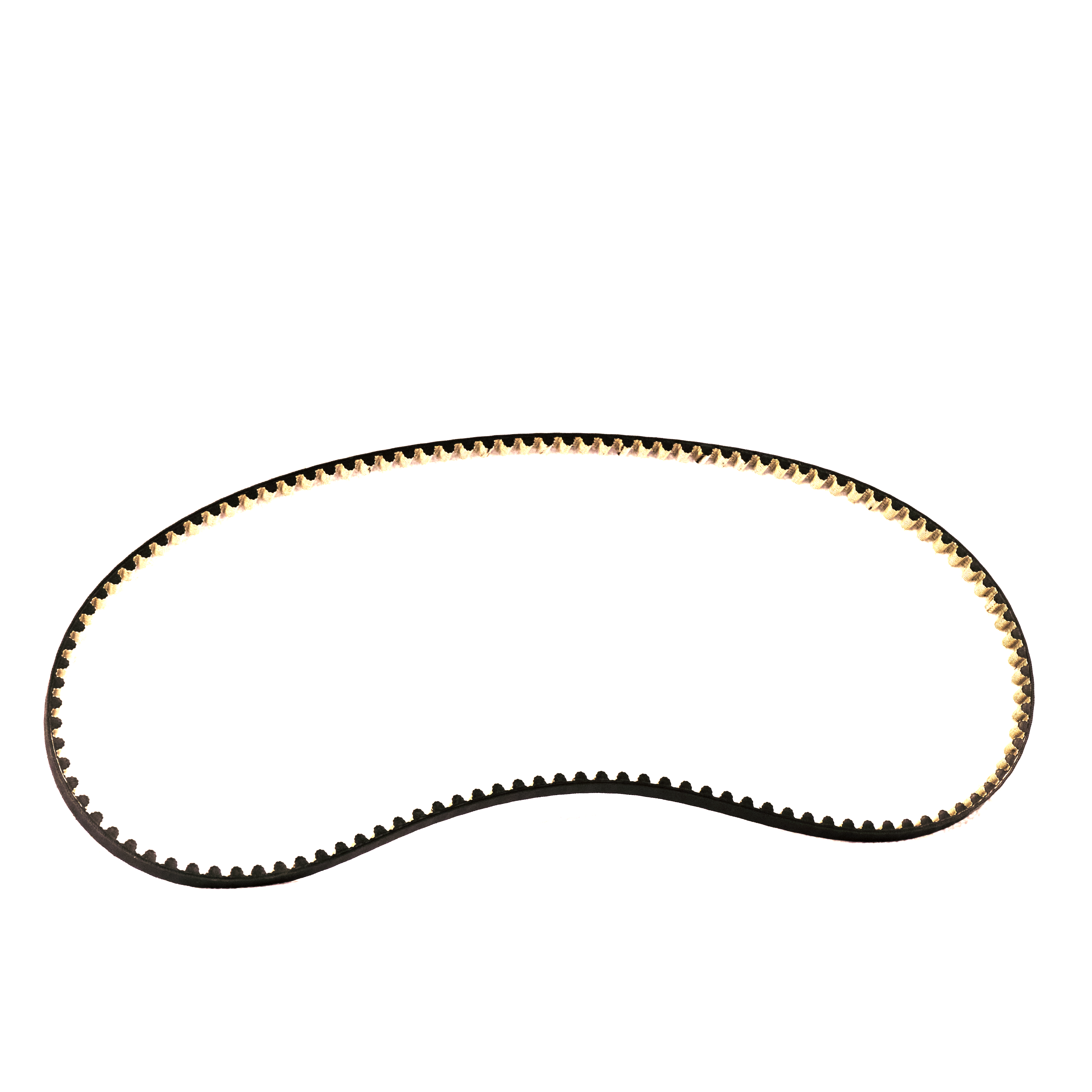 EBIKECAN Dayco Drive Belt