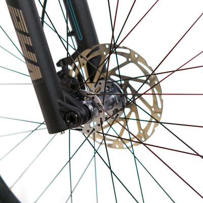 EBIKECAN E-Bike Arctic White Tremblant - Core AL