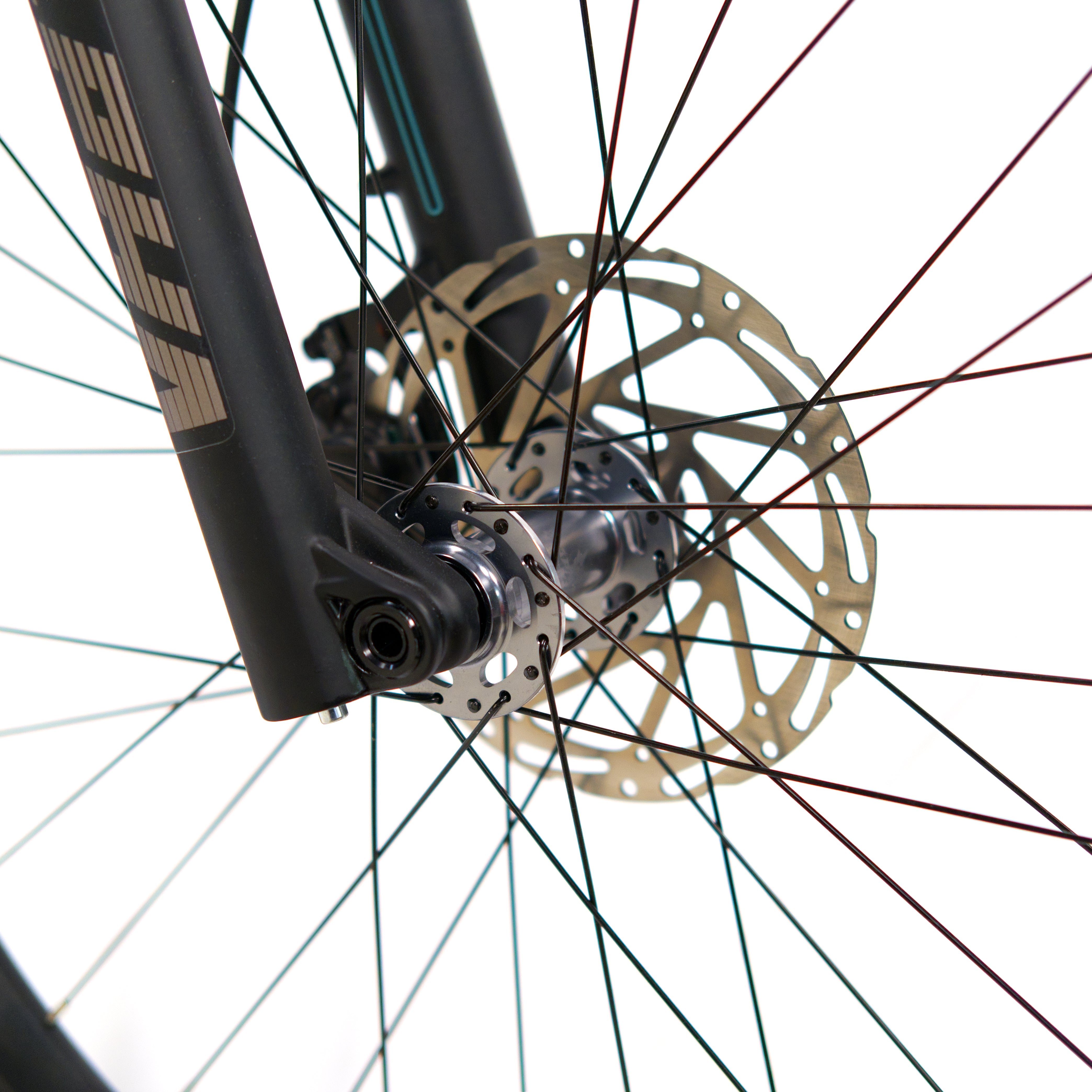 EBIKECAN E-Bike Arctic White Tremblant - Core AL