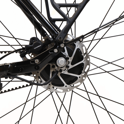 EBIKECAN E-Bike Aurora