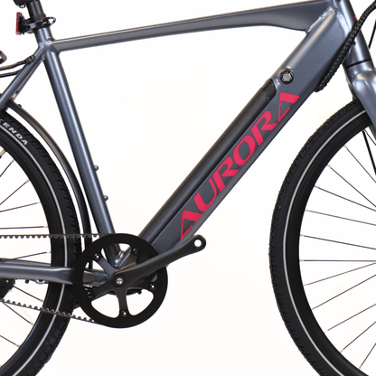 EBIKECAN E-Bike Aurora