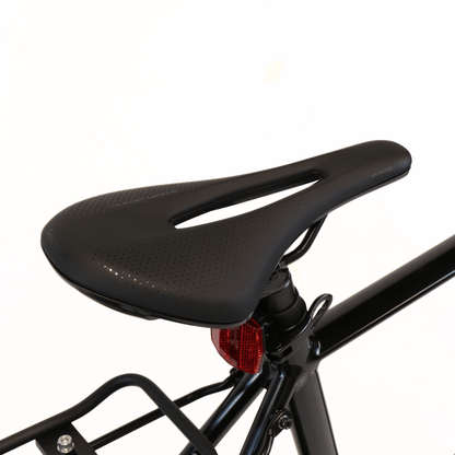 EBIKECAN E-Bike Aurora