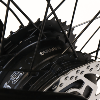 EBIKECAN E-Bike Midnight Violet Aurora GRX