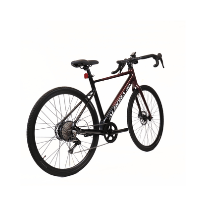 EBIKECAN E-Bike Midnight Violet Aurora GRX