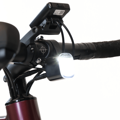 EBIKECAN E-Bike Midnight Violet Aurora GRX