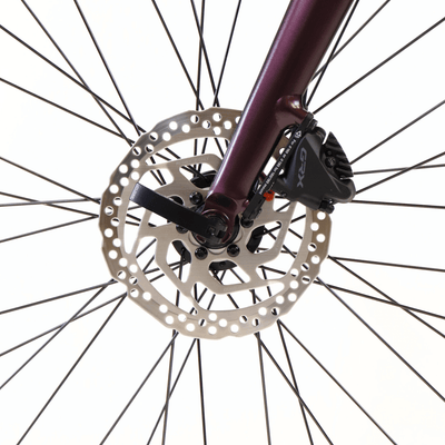 EBIKECAN E-Bike Midnight Violet Aurora GRX