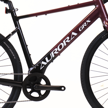 EBIKECAN E-Bike Midnight Violet Aurora GRX