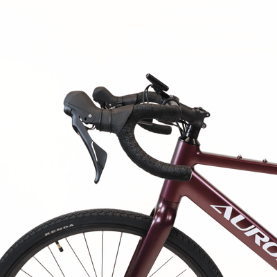 EBIKECAN E-Bike Midnight Violet Aurora GRX