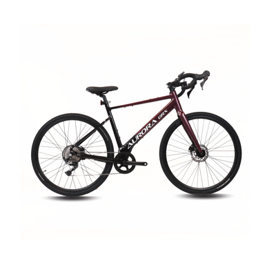 EBIKECAN E-Bike Midnight Violet Aurora GRX