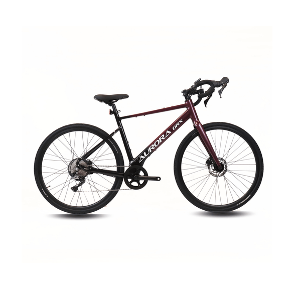 EBIKECAN E-Bike Midnight Violet Aurora GRX