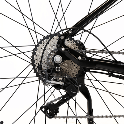 EBIKECAN E-Bike Midnight Violet Aurora GRX