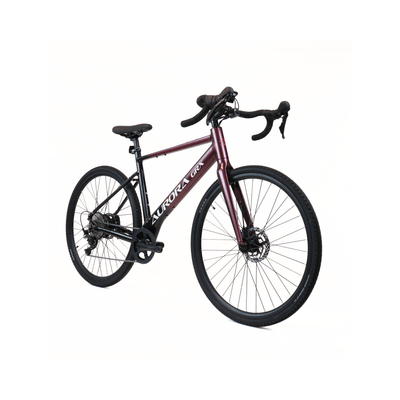 EBIKECAN E-Bike Midnight Violet Aurora GRX