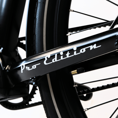 EBIKECAN E-Bike Midnight Violet Lancet Pro MD