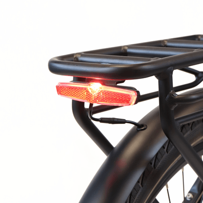 EBIKECAN E-Bike Midnight Violet Lancet Pro MD