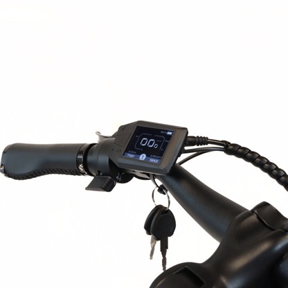 EBIKECAN E-Bike Midnight Violet Lancet Pro MD