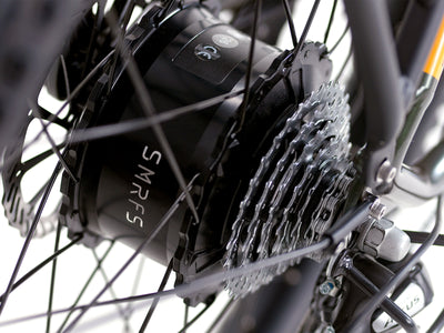 EBIKECAN E-Bike Sasquatch SMRFS