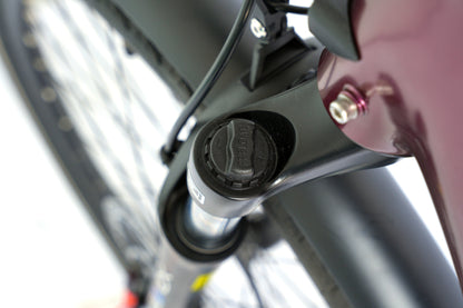 Electric bike, ebike, E-bike, Mid-drive, mid drive, best ebike, best electric bike, high quality ebike, Ebikecan, Ebike Accessories, Step-Thru, Step Through, Rear Hub Drive