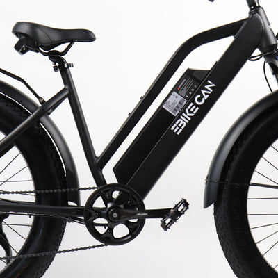 EBIKE CAN batteries E-Prime