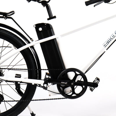 EBIKE CAN batteries E-SM