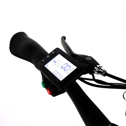 EBIKE CAN E-Bike Puma