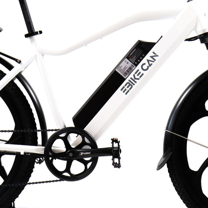 EBIKE CAN E-Bike Road Runner GT