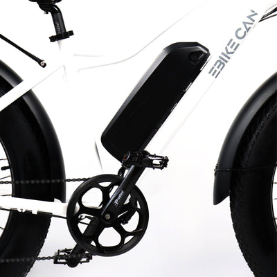 EBIKE CAN E-Bike Sasquatch 2.0