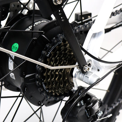 EBIKE CAN E-Bike Sasquatch 2.0