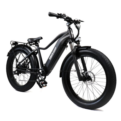 EBIKE CAN E-Bike Typhoon S