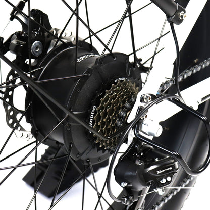 EBIKE CAN E-Bike Typhoon S