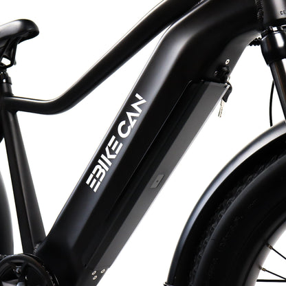 EBIKE CAN E-Bike Typhoon S