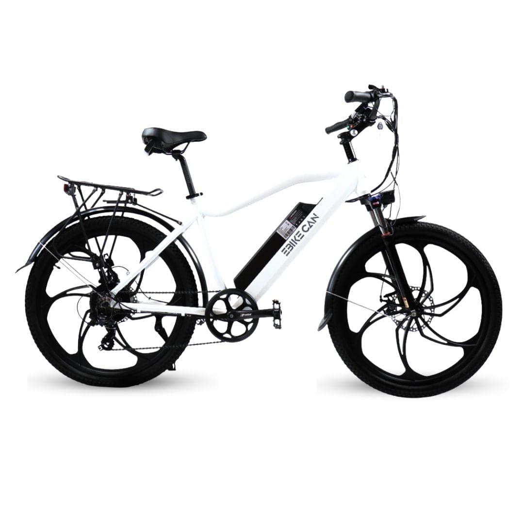 EBIKE CAN E-Bike White Road Runner GT